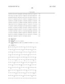 DNA POLYMERASE MUTANTS HAVING ENHANCED TEMPLATE DISCRIMINATION ACTIVITY diagram and image