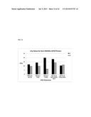 DNA POLYMERASE MUTANTS HAVING ENHANCED TEMPLATE DISCRIMINATION ACTIVITY diagram and image