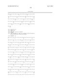 DNA POLYMERASE MUTANTS HAVING ENHANCED TEMPLATE DISCRIMINATION ACTIVITY diagram and image