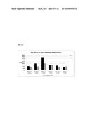 DNA POLYMERASE MUTANTS HAVING ENHANCED TEMPLATE DISCRIMINATION ACTIVITY diagram and image