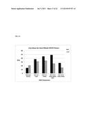 DNA POLYMERASE MUTANTS HAVING ENHANCED TEMPLATE DISCRIMINATION ACTIVITY diagram and image