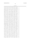 DNA POLYMERASE MUTANTS HAVING ENHANCED TEMPLATE DISCRIMINATION ACTIVITY diagram and image