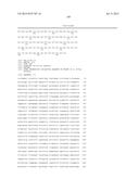 DNA POLYMERASE MUTANTS HAVING ENHANCED TEMPLATE DISCRIMINATION ACTIVITY diagram and image