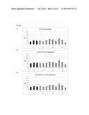 DNA POLYMERASE MUTANTS HAVING ENHANCED TEMPLATE DISCRIMINATION ACTIVITY diagram and image