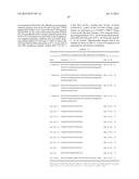 DNA POLYMERASE MUTANTS HAVING ENHANCED TEMPLATE DISCRIMINATION ACTIVITY diagram and image