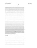 DNA POLYMERASE MUTANTS HAVING ENHANCED TEMPLATE DISCRIMINATION ACTIVITY diagram and image