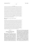 DNA POLYMERASE MUTANTS HAVING ENHANCED TEMPLATE DISCRIMINATION ACTIVITY diagram and image