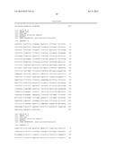 GENERATION OF TRANSGENIC CANOLA WITH LOW OR NO SATURATED FATTY ACIDS diagram and image