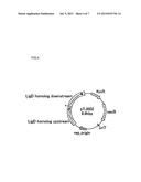 METHOD FOR PRODUCING METHACRYLIC ACID AND/OR ESTER THEREOF diagram and image