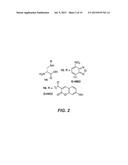 COMPOSITIONS FOR IN SITU LABELING OF BACTERIAL CELL WALLS WITH     FLUOROPHORES AND METHODS OF USE THEREOF diagram and image