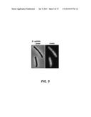 COMPOSITIONS FOR IN SITU LABELING OF BACTERIAL CELL WALLS WITH     FLUOROPHORES AND METHODS OF USE THEREOF diagram and image