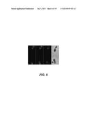 COMPOSITIONS FOR IN SITU LABELING OF BACTERIAL CELL WALLS WITH     FLUOROPHORES AND METHODS OF USE THEREOF diagram and image