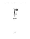 COMPOSITIONS FOR IN SITU LABELING OF BACTERIAL CELL WALLS WITH     FLUOROPHORES AND METHODS OF USE THEREOF diagram and image