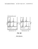 COMPOSITIONS FOR IN SITU LABELING OF BACTERIAL CELL WALLS WITH     FLUOROPHORES AND METHODS OF USE THEREOF diagram and image