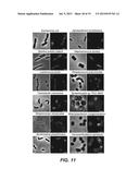 COMPOSITIONS FOR IN SITU LABELING OF BACTERIAL CELL WALLS WITH     FLUOROPHORES AND METHODS OF USE THEREOF diagram and image