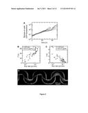 SYSTEMS AND METHODS TO DETECT BIOFILM STREAMER GROWTH AND THEIR USES diagram and image