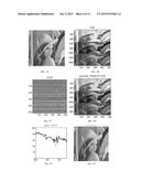 SNAPSHOT SPECTRAL IMAGING BASED ON DIGITAL CAMERAS diagram and image