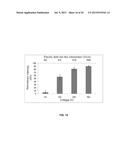 INTEGRATED REAGENTLESS SAMPLE PREPROCESSING FOR MOLECULAR DIAGNOSTICS     USING A NANOPOROUS MEMBRANE BASED MICROFLUIDIC DEVICE diagram and image