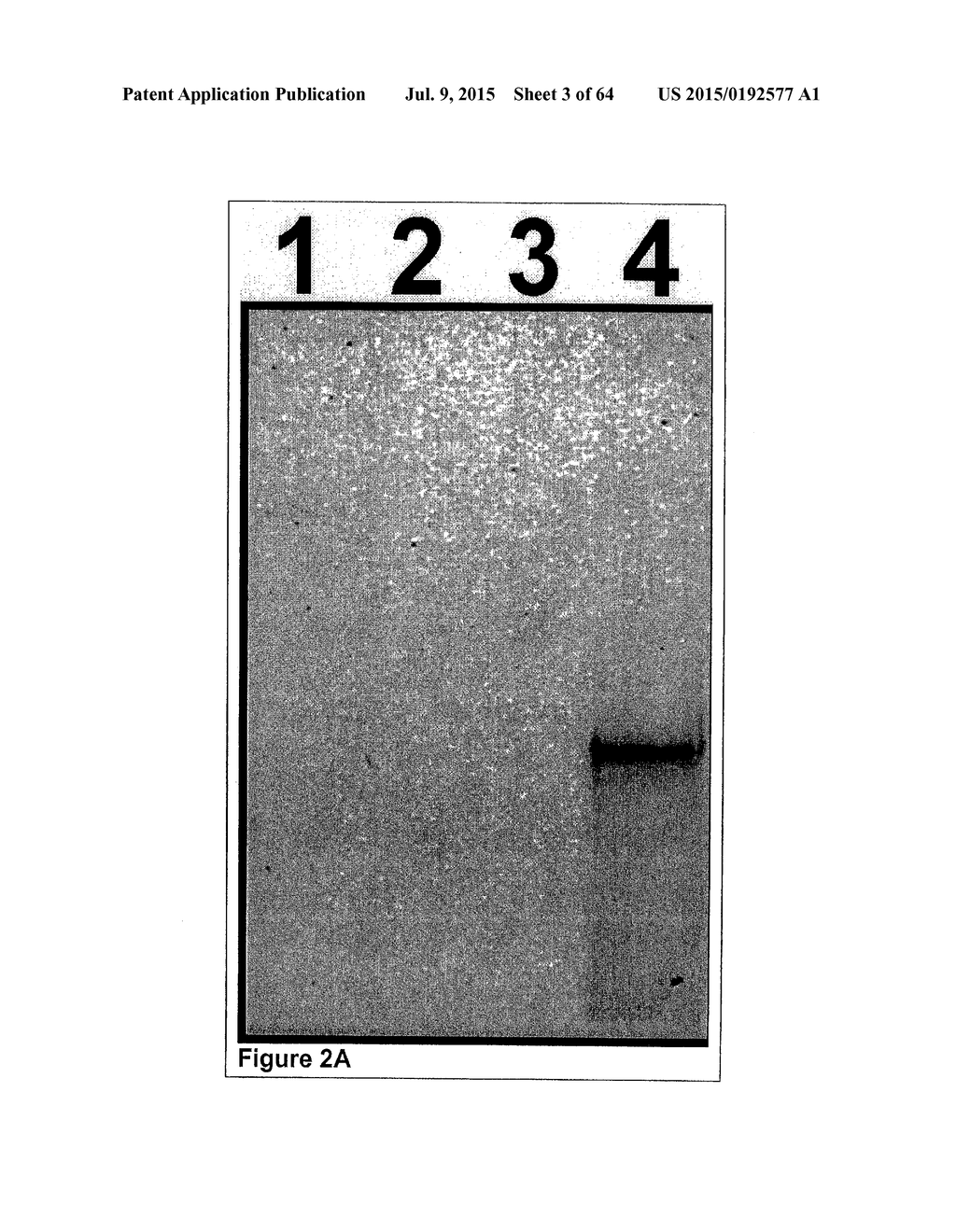 Methods and Compositions for Phototransfer - diagram, schematic, and image 04