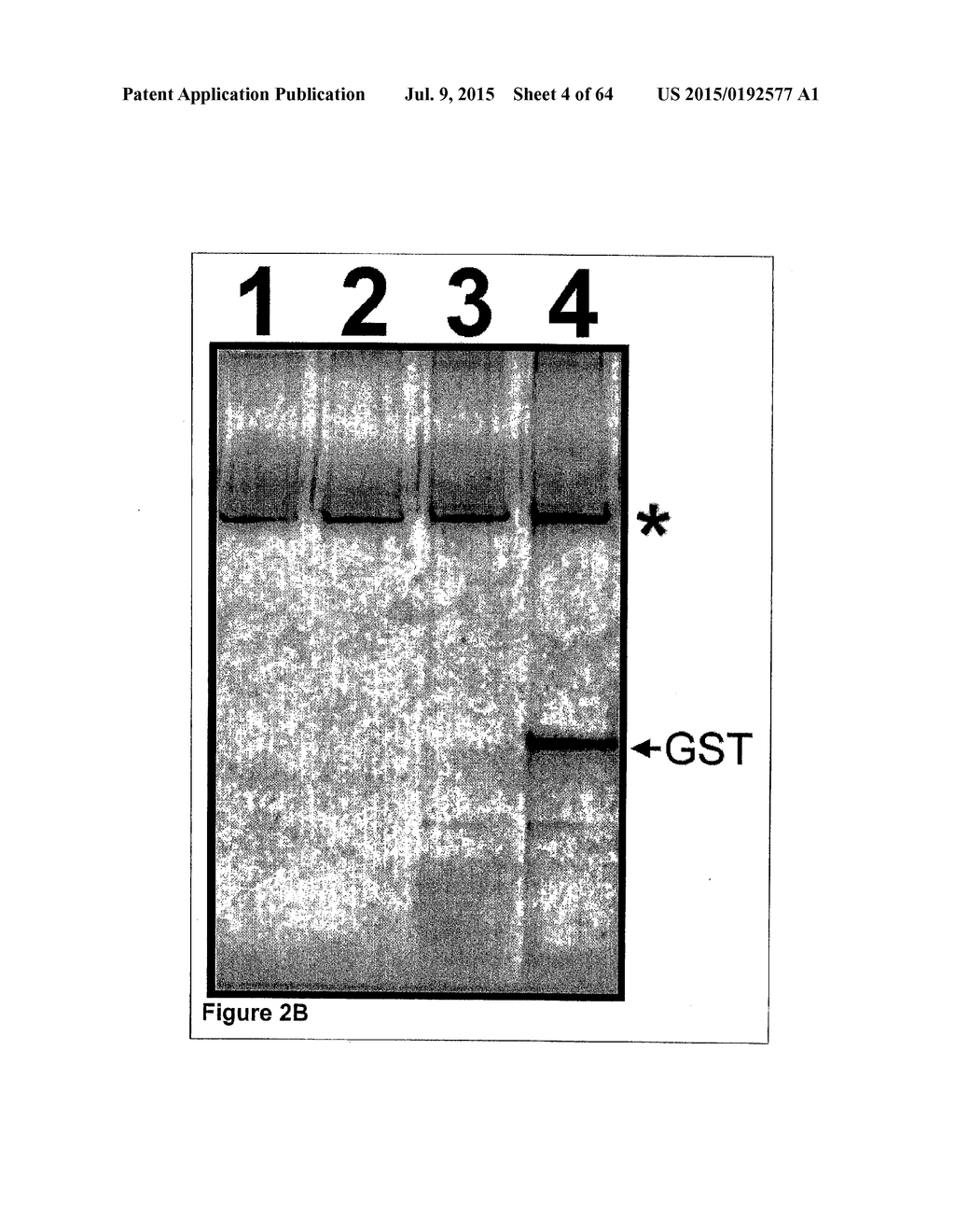 Methods and Compositions for Phototransfer - diagram, schematic, and image 05