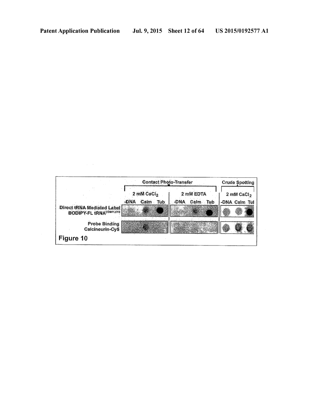 Methods and Compositions for Phototransfer - diagram, schematic, and image 13