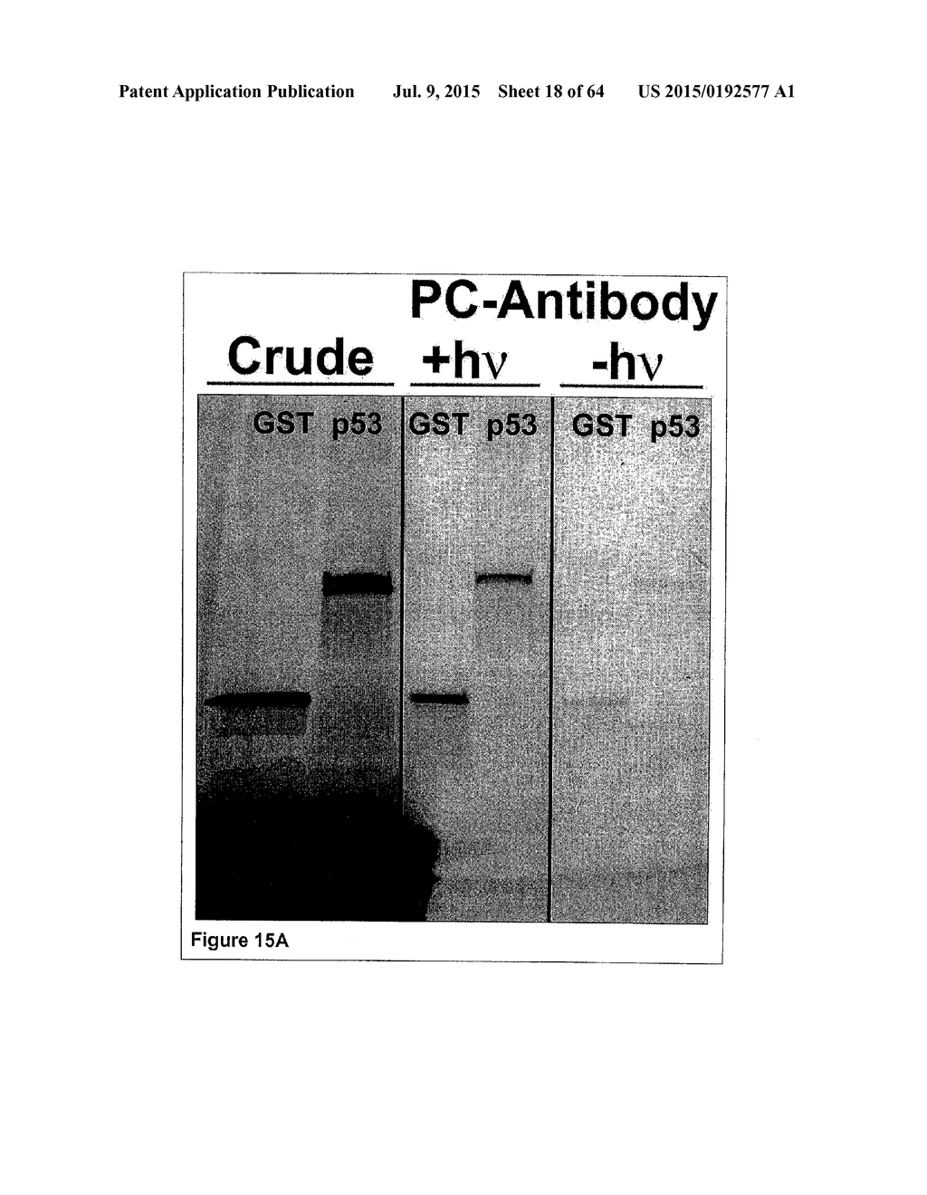 Methods and Compositions for Phototransfer - diagram, schematic, and image 19