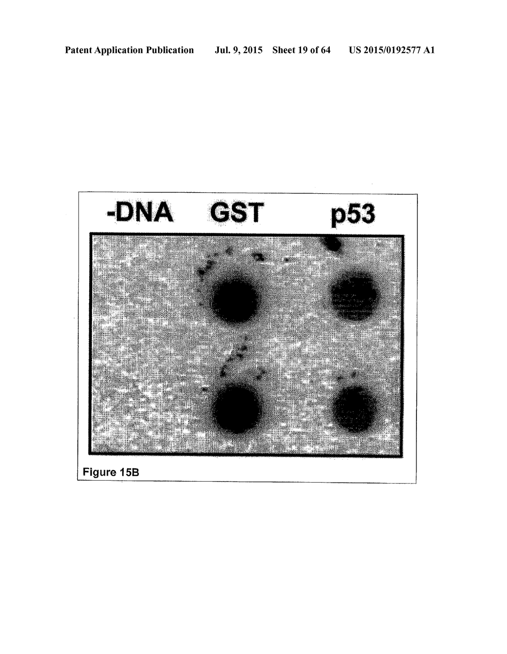 Methods and Compositions for Phototransfer - diagram, schematic, and image 20