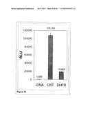 Methods and Compositions for Phototransfer diagram and image