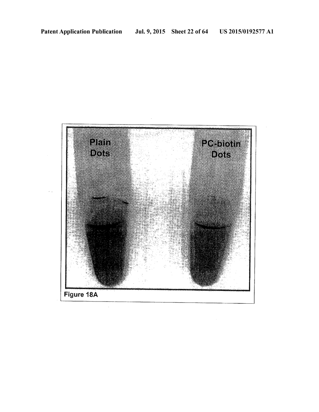 Methods and Compositions for Phototransfer - diagram, schematic, and image 23