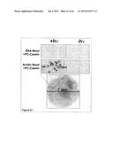 Methods and Compositions for Phototransfer diagram and image