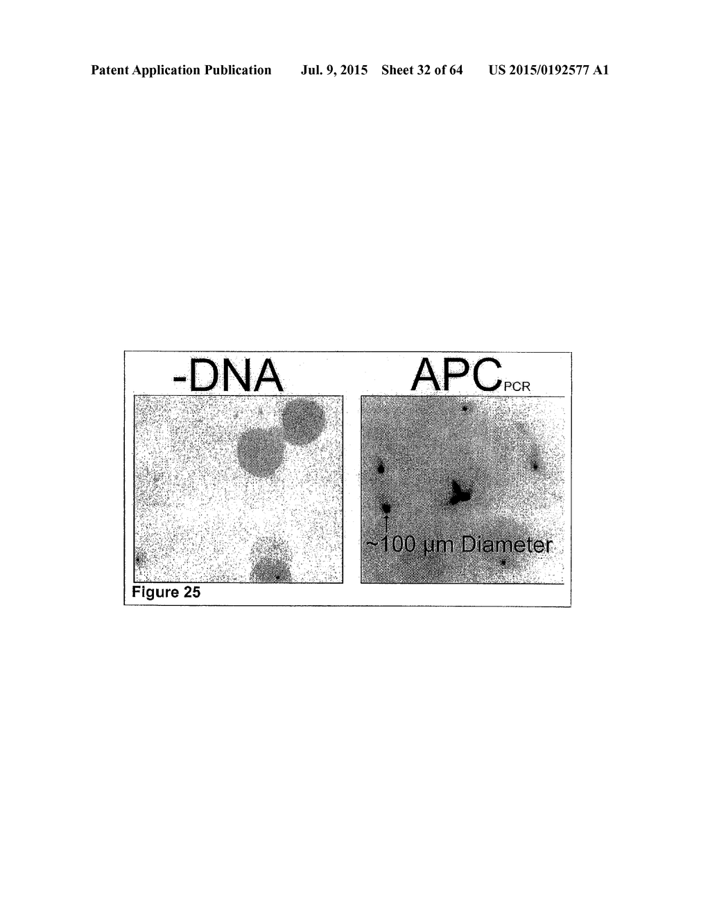 Methods and Compositions for Phototransfer - diagram, schematic, and image 33