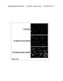 Methods and Compositions for Phototransfer diagram and image