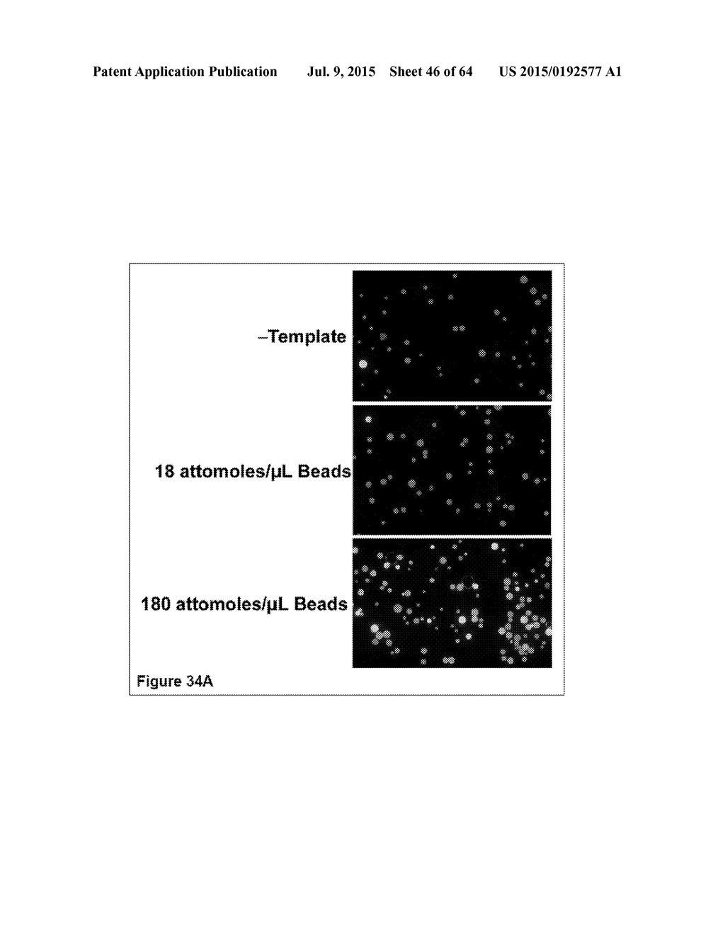 Methods and Compositions for Phototransfer - diagram, schematic, and image 47