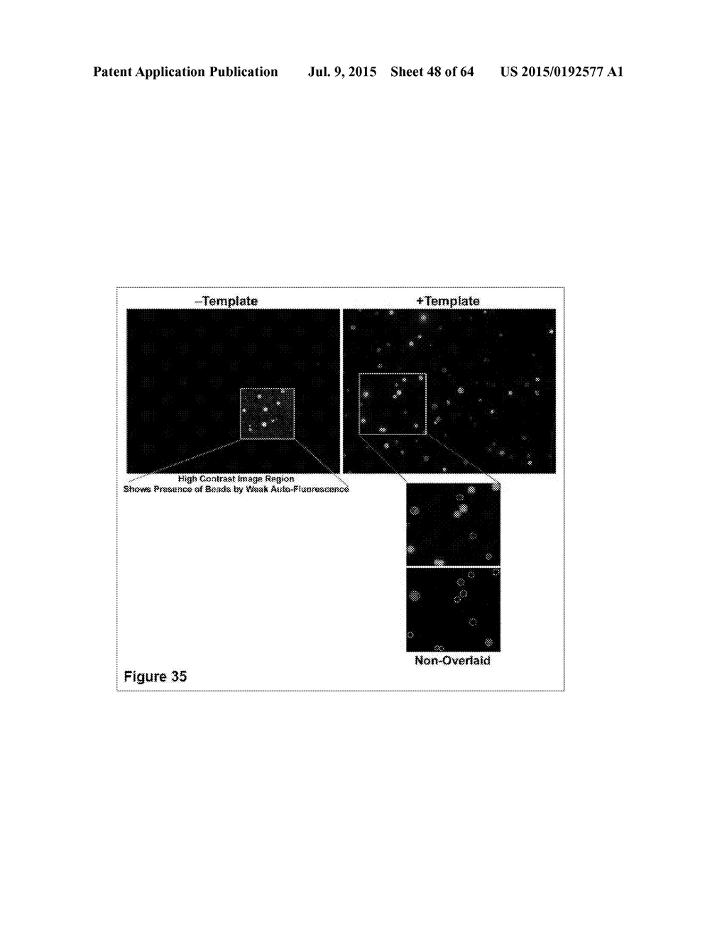 Methods and Compositions for Phototransfer - diagram, schematic, and image 49