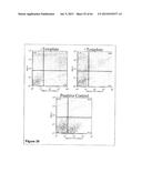 Methods and Compositions for Phototransfer diagram and image