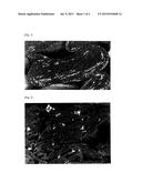 COMPOSITE GRAPHITE PARTICLE FOR NONAQUEOUS-SECONDARY-BATTERY NEGATIVE     ELECTRODE, NEGATIVE ELECTRODE FOR NONAQUEOUS SECONDARY BATTERY, AND     NONAQUEOUS SECONDARY BATTERY diagram and image