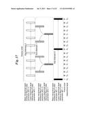 VIDEO ENCODING DEVICE, VIDEO DECODING DEVICE, VIDEO ENCODING METHOD, AND     VIDEO DECODING METHOD diagram and image