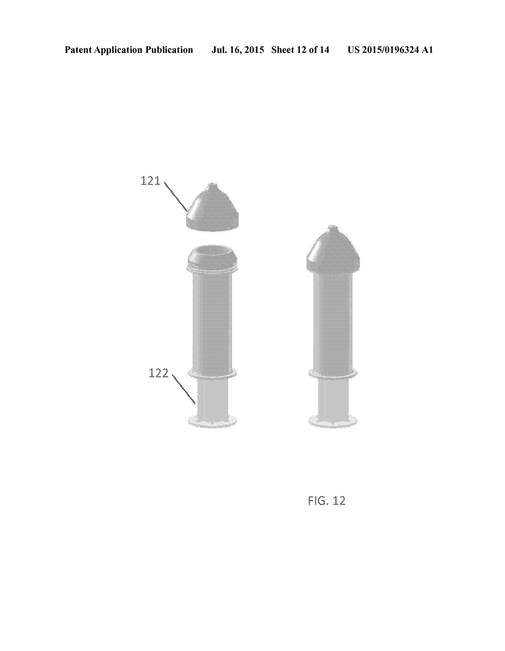 Artificial Insemination and Vaginal Insertion - diagram, schematic, and image 13