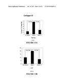 Treatment of Mitochondria-Related Diseases and Improvement of Age-Related     Metabolic Deficits diagram and image