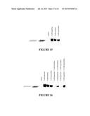 Treatment of Mitochondria-Related Diseases and Improvement of Age-Related     Metabolic Deficits diagram and image