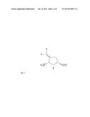 METHODS OF USING (1S,3S)-3-AMINO-4-DIFLUOROMETHYLENYL-1-CYCLOPENTANOIC     ACID diagram and image