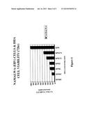 Use of Artemisinin for Treating Tumors Induced by Oncogenic Viruses and     for Treating Viral Infections diagram and image