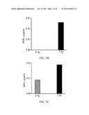 Materials and Methods for Improving Gastrointestinal Function diagram and image