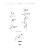 SOLID FORMS COMPRISING     (+)-2-[1-(3-ETHOXY-4-METHOXYPHENYL)-2-METHYLSULFONYLETHYL]-4-ACETYLAMINOI-    SOINDOLINE-1,3-DIONE, COMPOSITIONS THEREOF, AND USES THEREOF diagram and image