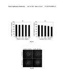 OXYGEN-CONTROLLABLE AND HYPOXIA-INDUCIBLE HYDROGELS diagram and image