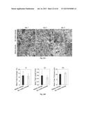 OXYGEN-CONTROLLABLE AND HYPOXIA-INDUCIBLE HYDROGELS diagram and image