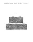 OXYGEN-CONTROLLABLE AND HYPOXIA-INDUCIBLE HYDROGELS diagram and image