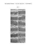 OXYGEN-CONTROLLABLE AND HYPOXIA-INDUCIBLE HYDROGELS diagram and image