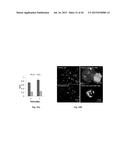 OXYGEN-CONTROLLABLE AND HYPOXIA-INDUCIBLE HYDROGELS diagram and image