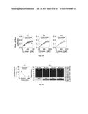 OXYGEN-CONTROLLABLE AND HYPOXIA-INDUCIBLE HYDROGELS diagram and image